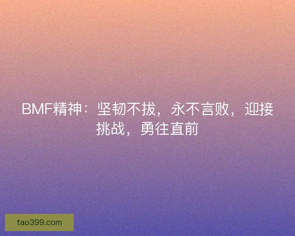 BMF精神:坚韧不拔,永不言败,迎接挑战,勇往直前 BMF精神:坚韧不拔,永不言败,迎接挑战,勇往直前